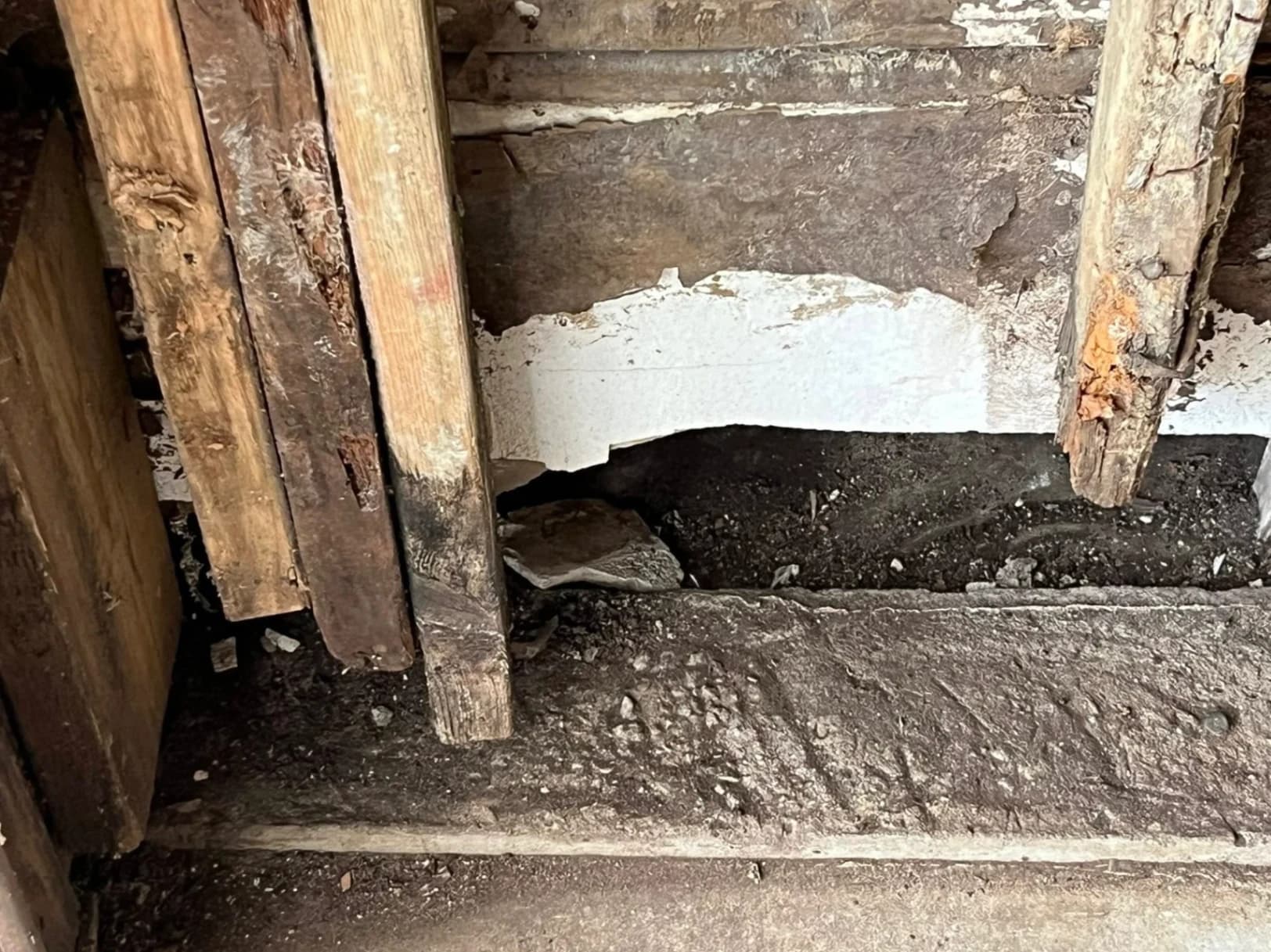 Shed Roof Leak Repair & Structural Restoration photo 2