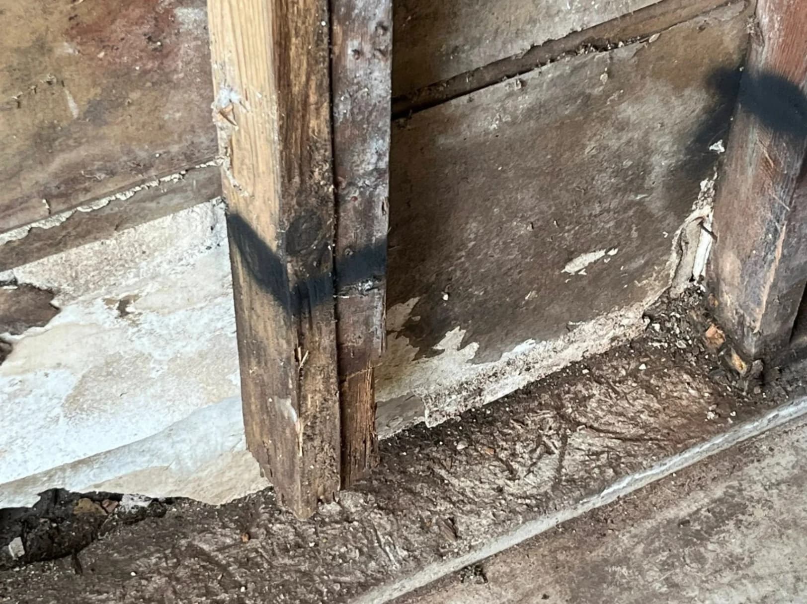 Shed Roof Leak Repair & Structural Restoration photo 3