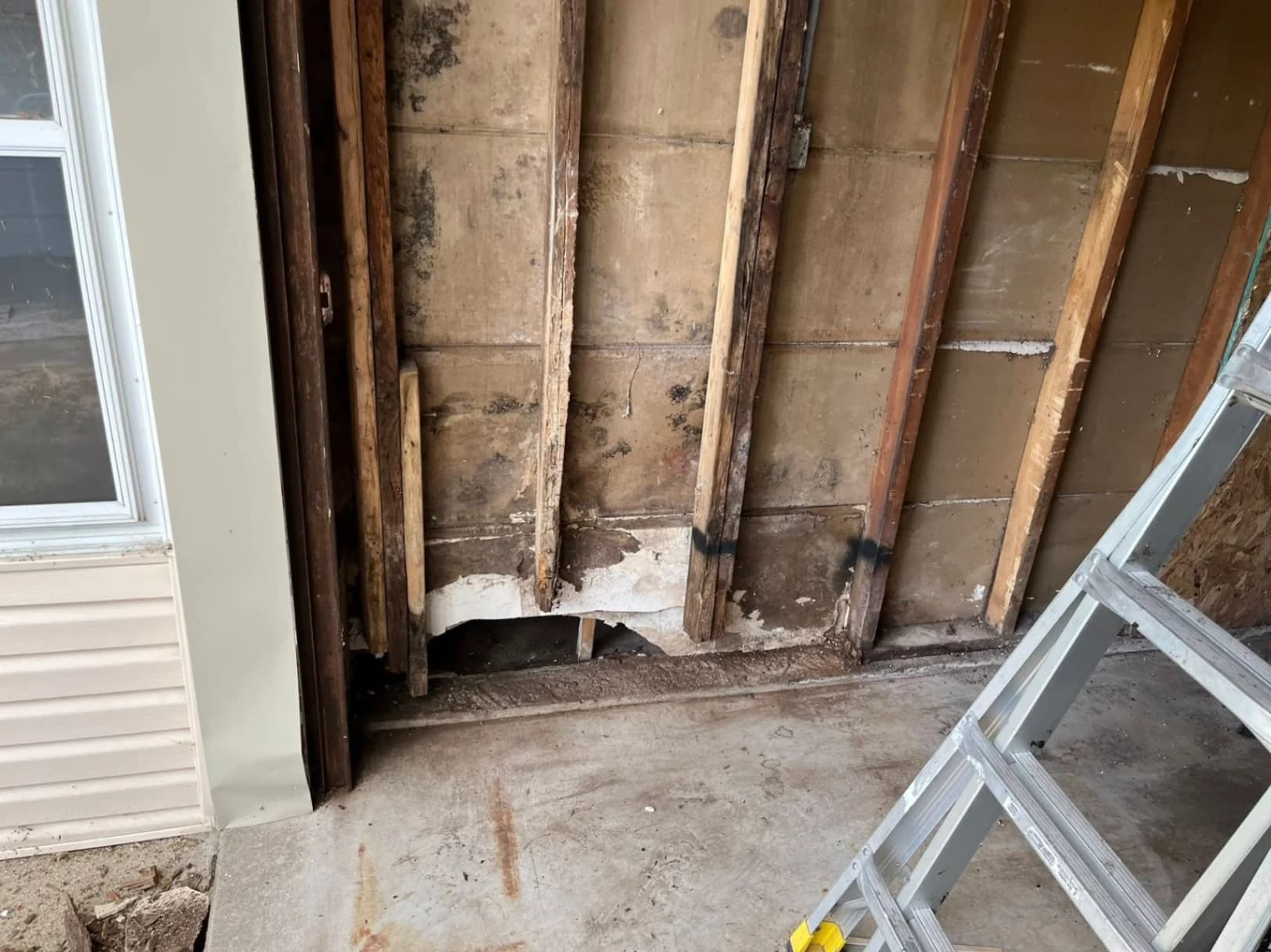 Shed Roof Leak Repair & Structural Restoration